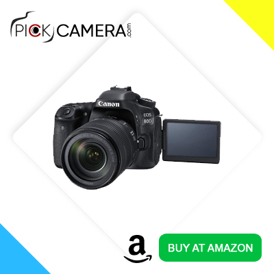 Canon EOS 80D best buy
